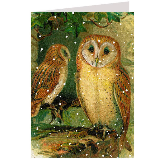 Snowy Barn Owls Card ~ England